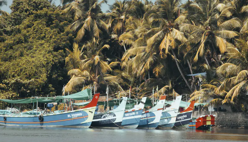 Boats in the harbour, Kozhikode coast