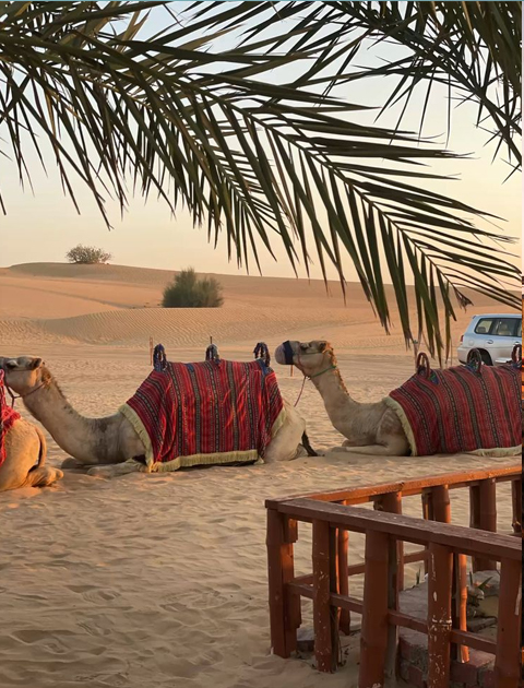Premium Desert Safari with Quad Bike