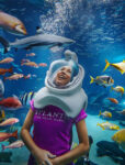 Atlantis Aquaventure Waterpark