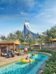 Wild Wadi Water Park