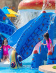 Al Montazah Parks