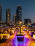 Premium Marina Dhow Cruise