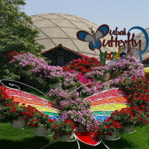 Butterfly Garden 1