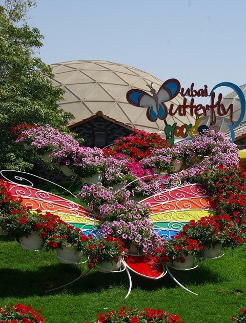 The Dubai Butterfly Garden