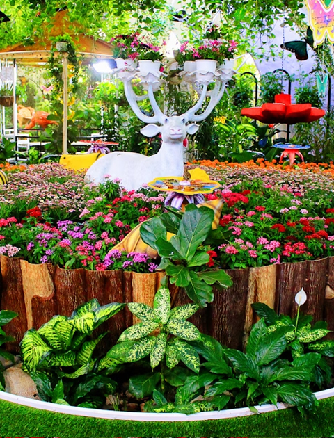 The Dubai Butterfly Garden