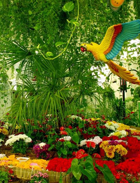 The Dubai Butterfly Garden