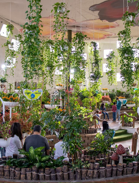 The Dubai Butterfly Garden