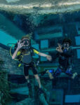 Deep Dive Dubai  (Snorkelling)