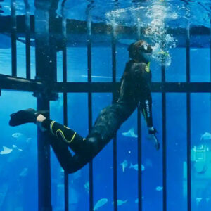 Deep Dive Dubai  (Snorkelling)