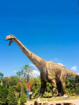 Dinosaur Park