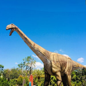 Dinosaur park 1