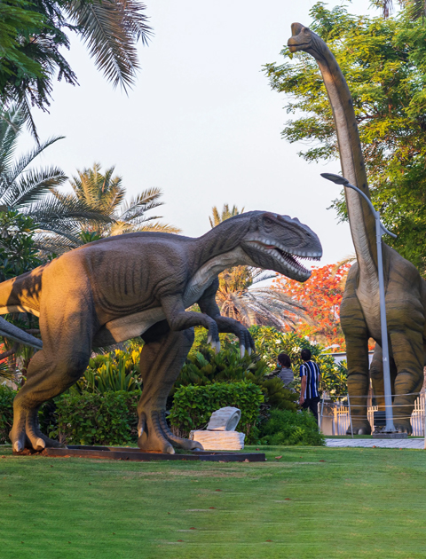 Dinosaur Park