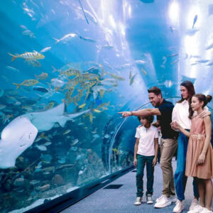 Dubai Aquarium & Under Water Zoo 1