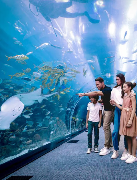 Dubai Aquarium & Underwater Zoo