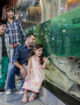 Dubai Aquarium & Underwater Zoo