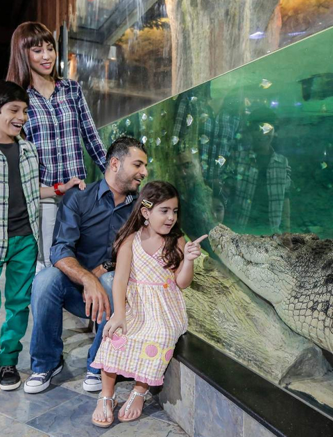 Dubai Aquarium & Underwater Zoo