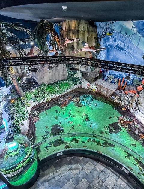 Dubai Aquarium & Underwater Zoo