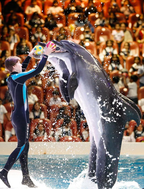 Dubai Dolphinarium