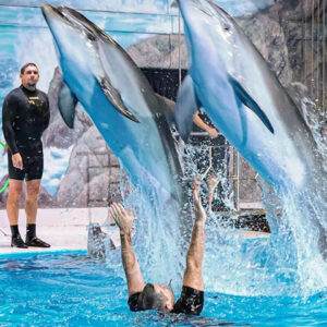 Dubai Dolphinarium