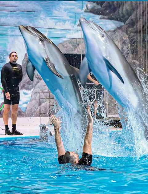 Dubai Dolphinarium