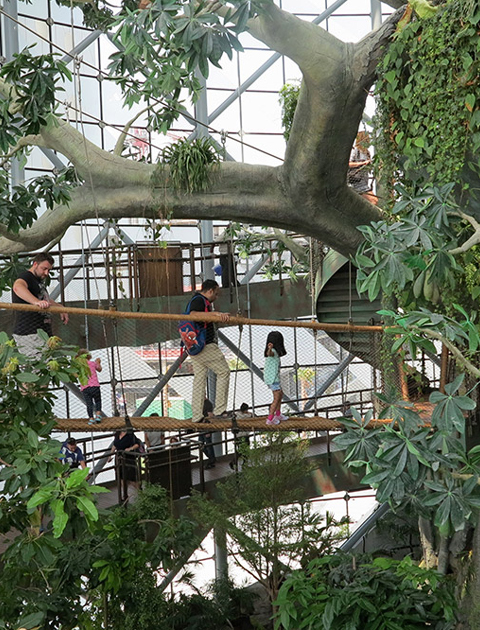 The Green Planet Dubai