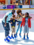 The Ice Rink