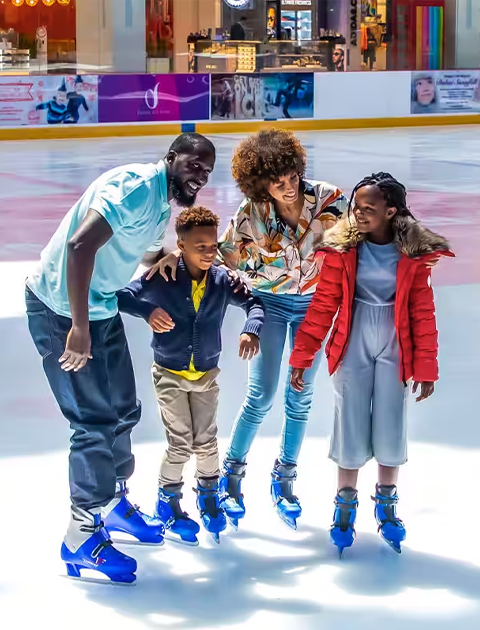 The Ice Rink