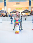 The Ice Rink