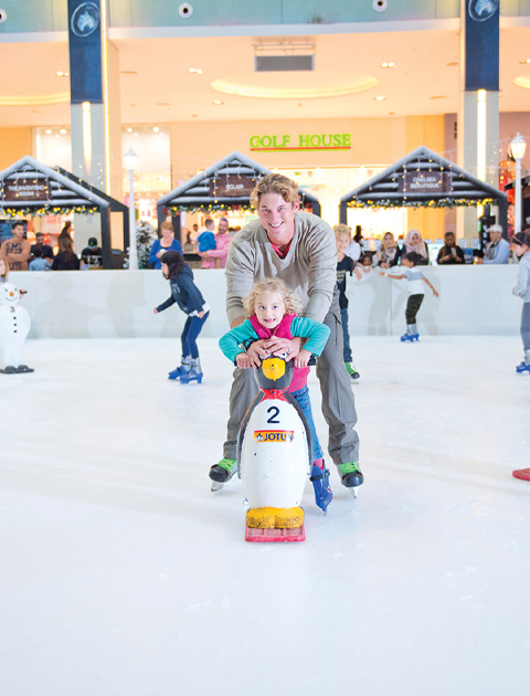 The Ice Rink