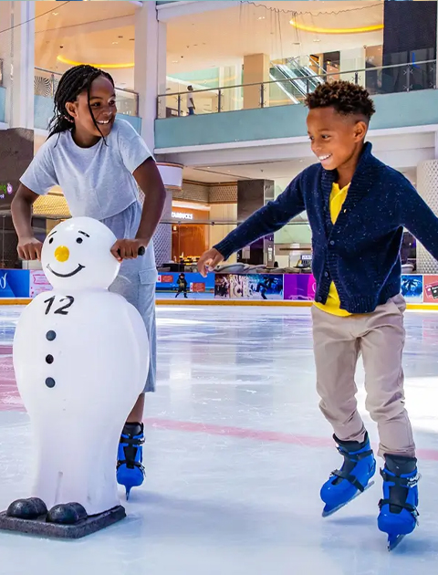The Ice Rink