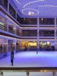 The Ice Rink