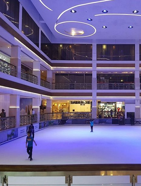 The Ice Rink