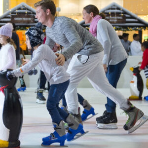 The Ice Rink