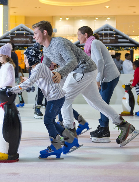 The Ice Rink