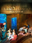 Atlantis The Lost Chambers Aquarium