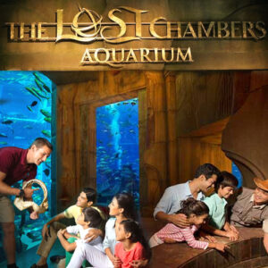 Atlantis The Lost Chambers Aquarium