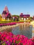 Dubai Miracle Garden