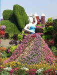 Dubai Miracle Garden