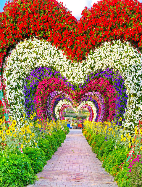 Dubai Miracle Garden