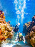 Deep Dive Dubai Indoor Scuba Diving