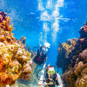 Scuba Dive 1