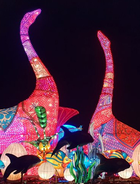 Dubai Glow Garden