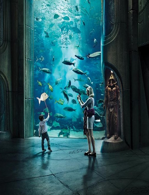 Atlantis The Lost Chambers Aquarium