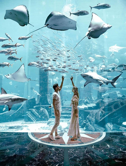 Atlantis The Lost Chambers Aquarium