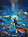 Atlantis The Lost Chambers Aquarium