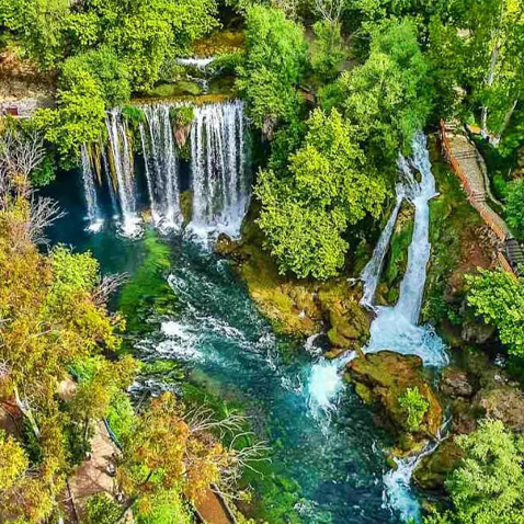 turkey