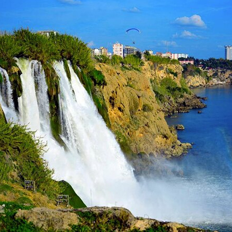 turkey
