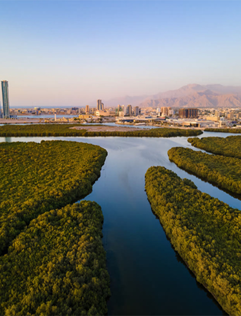 Ras Al Khaimah City Tour (Private Tour)