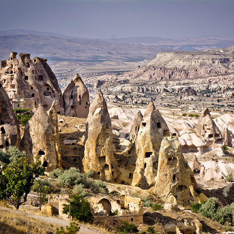 turkey