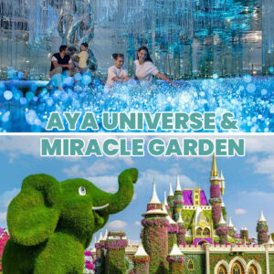 Combo: Dubai Miracle Garden + AYA Universe